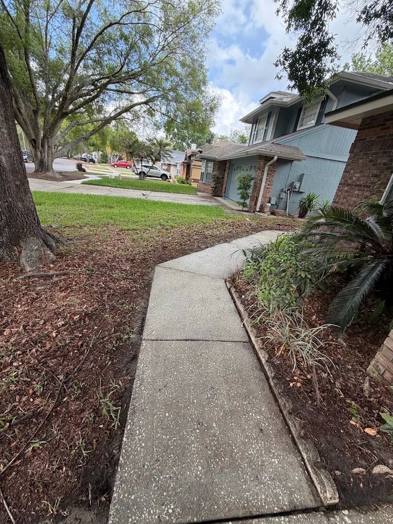 Concrete sidewalk leading to an Orlando home after cleaning
