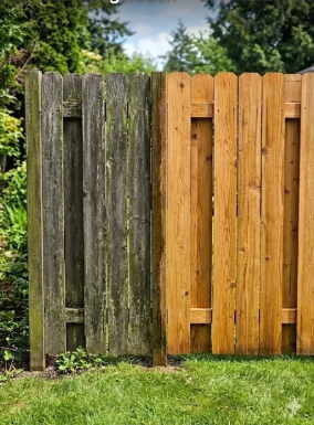 Wood fence half cleaned showing before and after pressure washing
