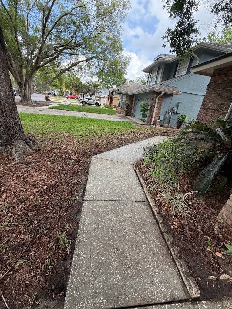 Concrete sidewalk leading to an Orlando home after cleaning