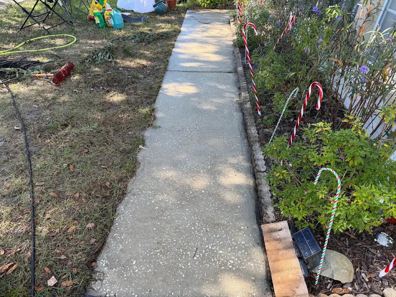 Concrete walkway alongside a garden bed after pressure washing in Orlando